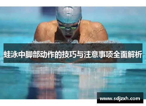 蛙泳中脚部动作的技巧与注意事项全面解析 蛙泳中脚部动作的技巧与注意事项全面解析
